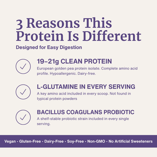 Digestive Support Protein